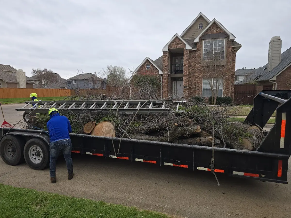 Expert Tree Fertilization with proper safety equipment in Harned